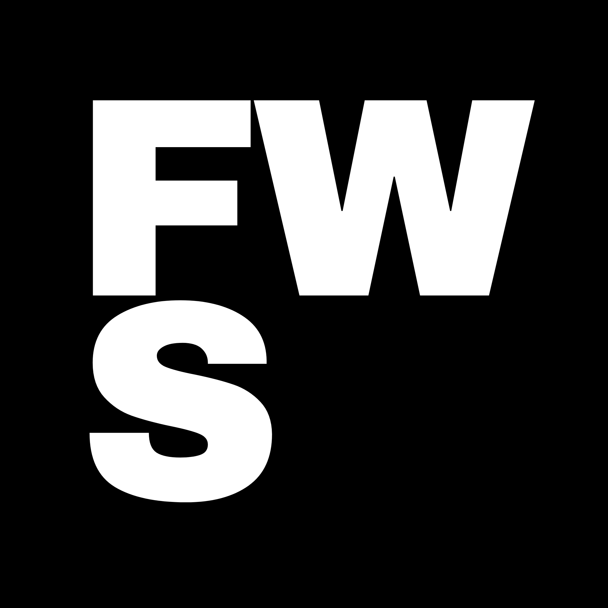 FWS — Forward Web Solutions